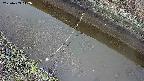area10-20250403142038.jpg