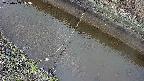 area10-20250403143034.jpg