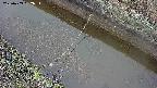 area10-20250403152036.jpg