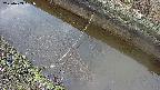 area10-20250403165034.jpg
