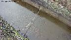 area10-20250403172035.jpg