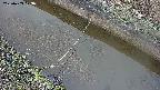 area10-20250403173037.jpg