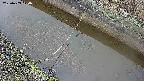area10-20250403174037.jpg