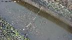 area10-20250403180035.jpg
