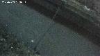 area10-20250403183035.jpg