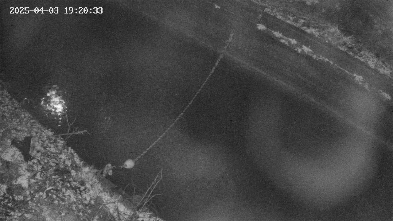 area10-20250403192035.jpg