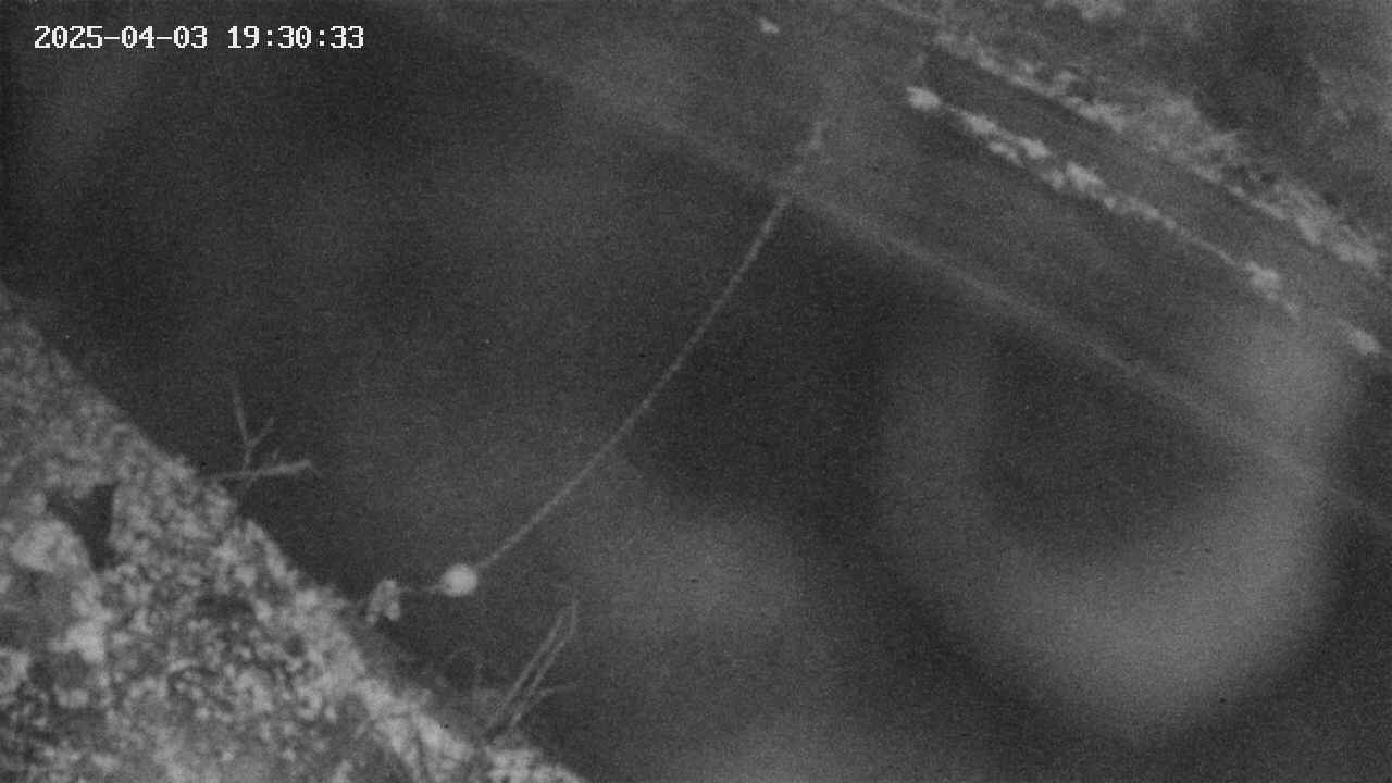 area10-20250403193034.jpg