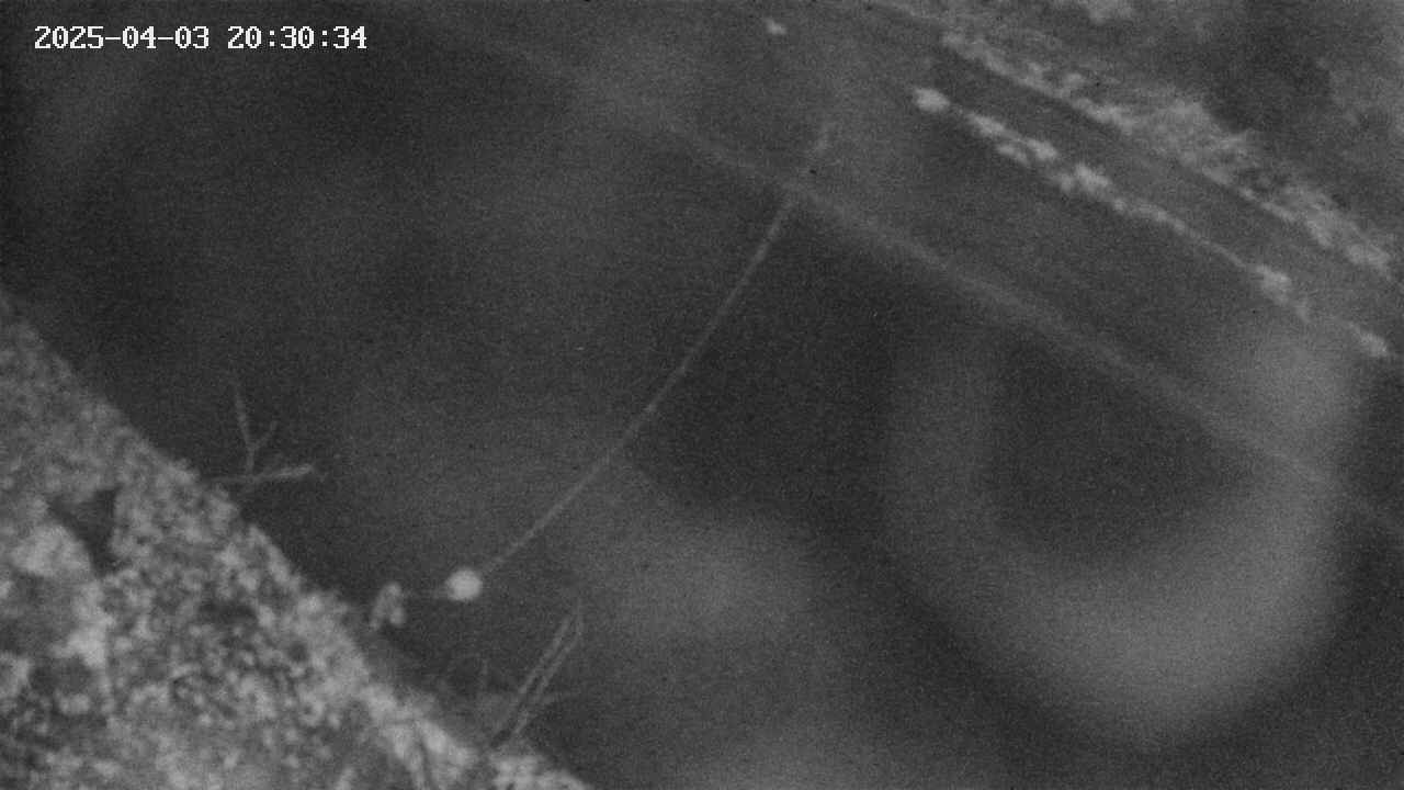 area10-20250403203035.jpg