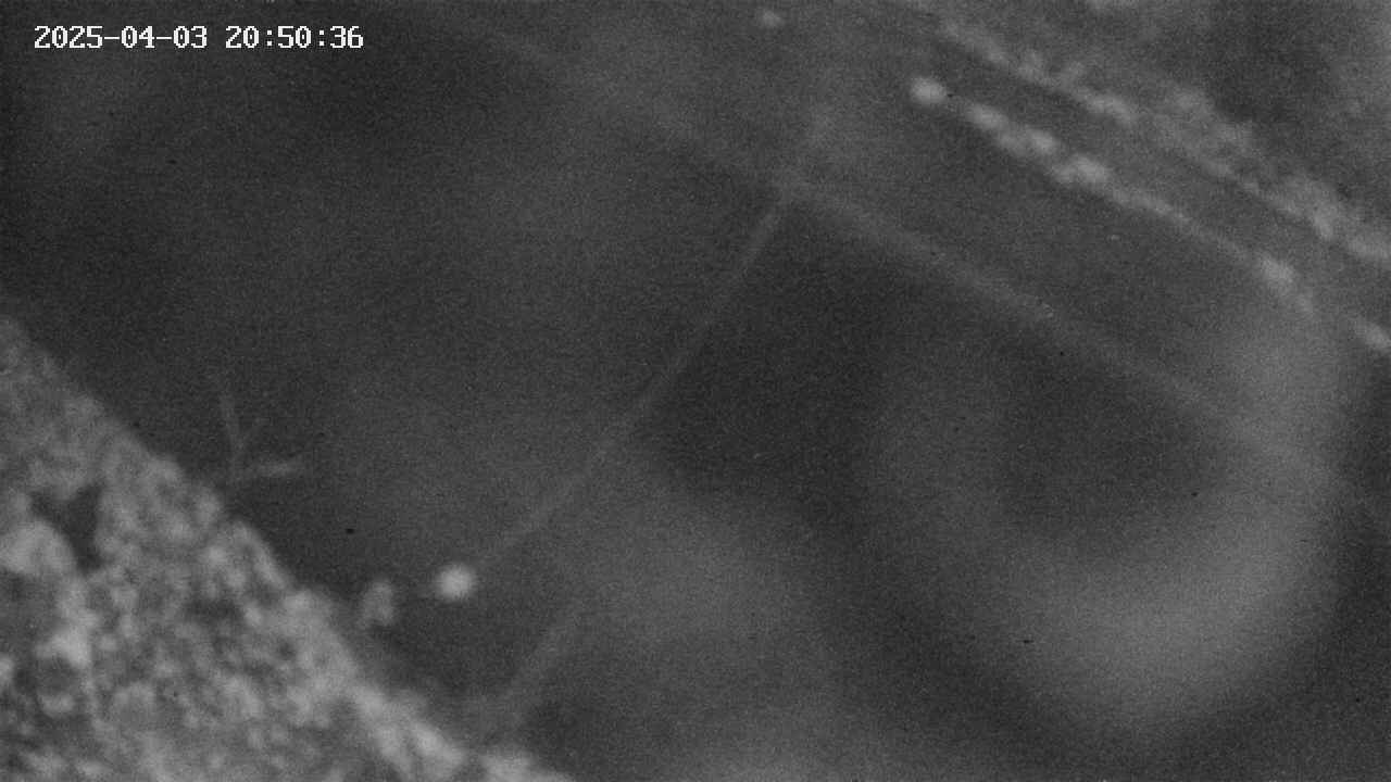 area10-20250403205037.jpg