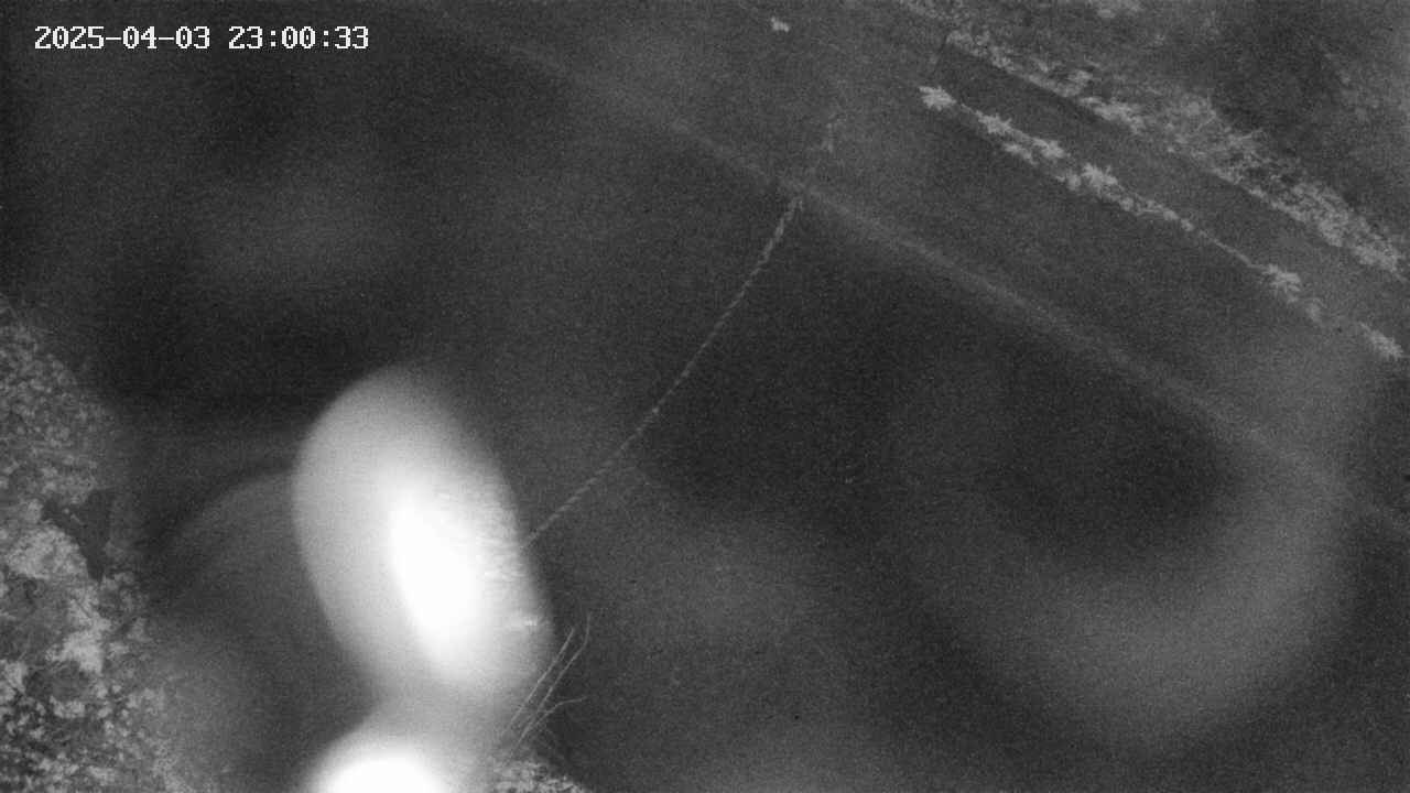 area10-20250403230034.jpg