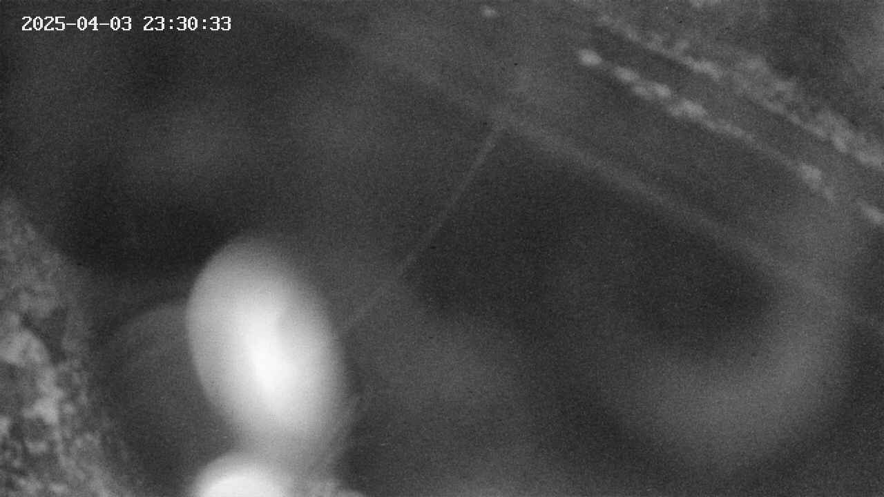 area10-20250403233035.jpg