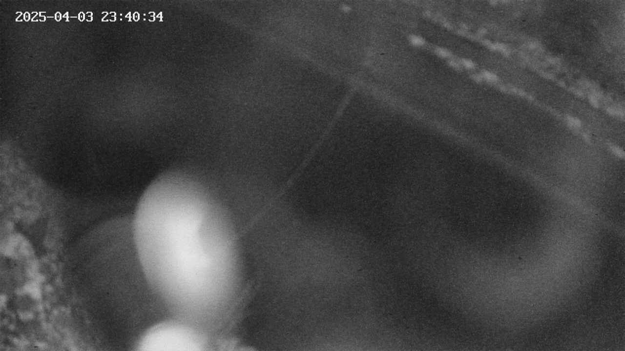 area10-20250403234035.jpg