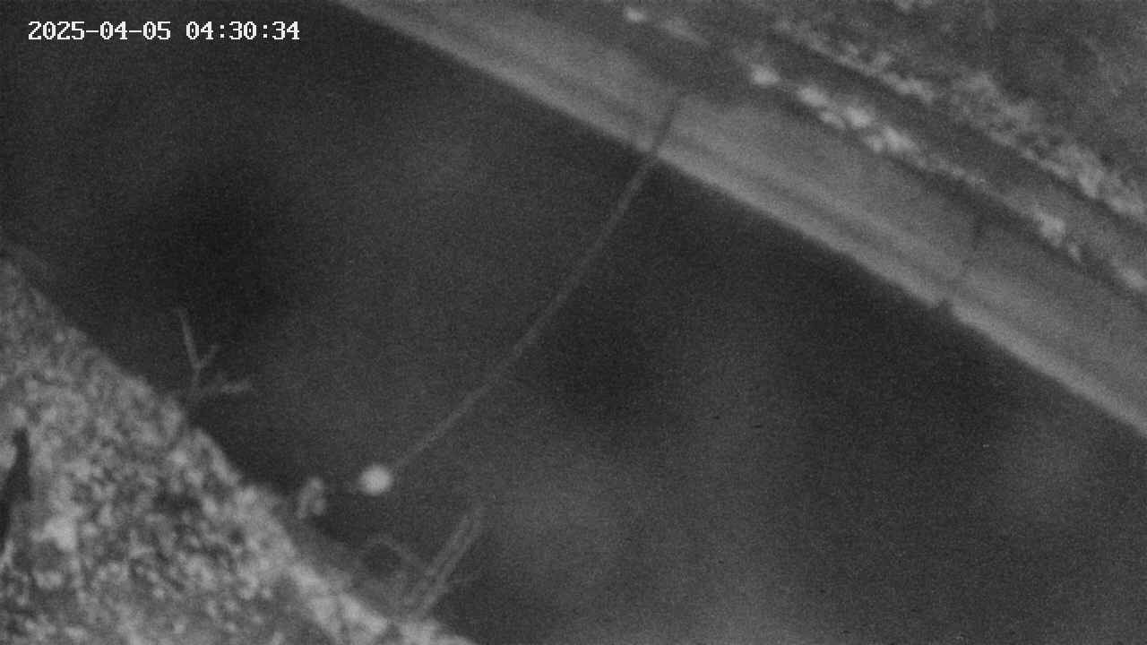 area10-20250405043034.jpg