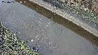 area10-20250405051034.jpg