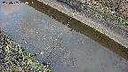 area10-20250405054035.jpg