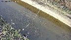 area10-20250405062035.jpg