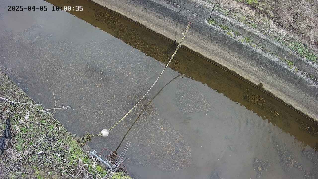 area10-20250405100036.jpg