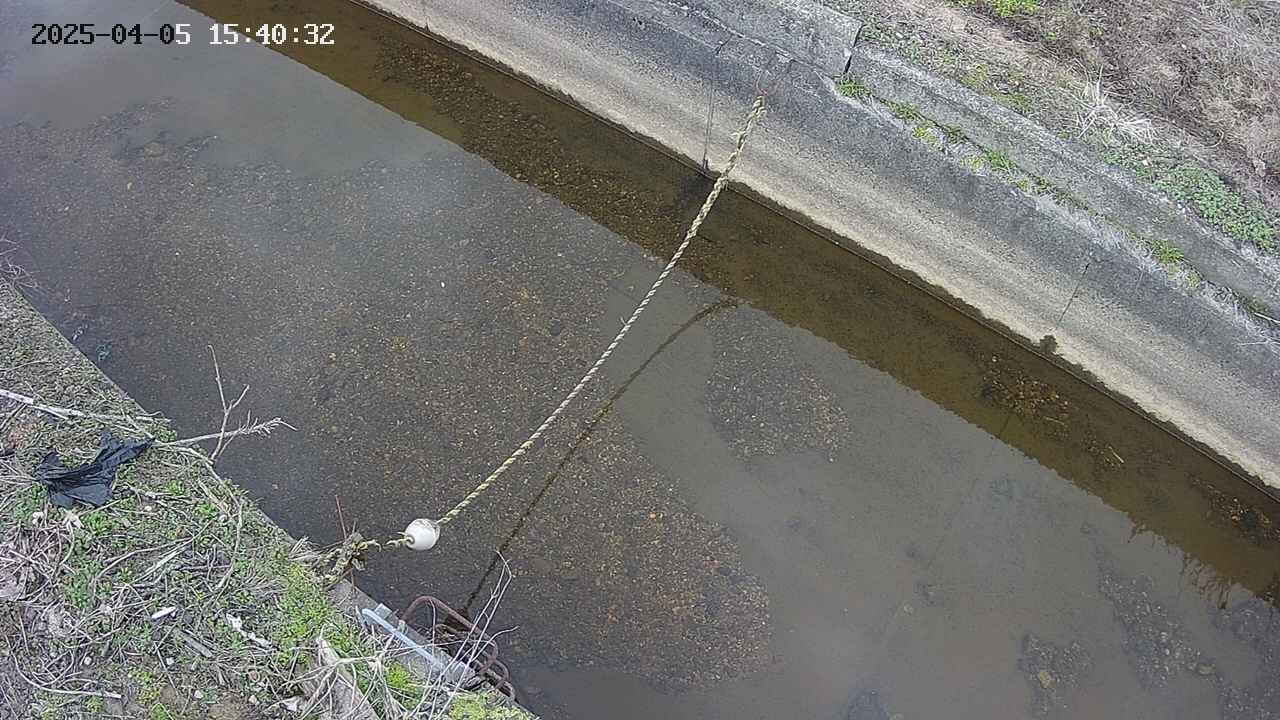 area10-20250405154034.jpg