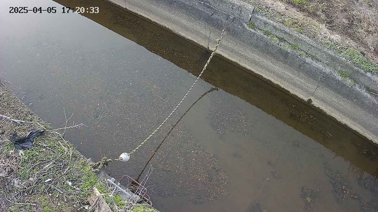 area10-20250405172035.jpg