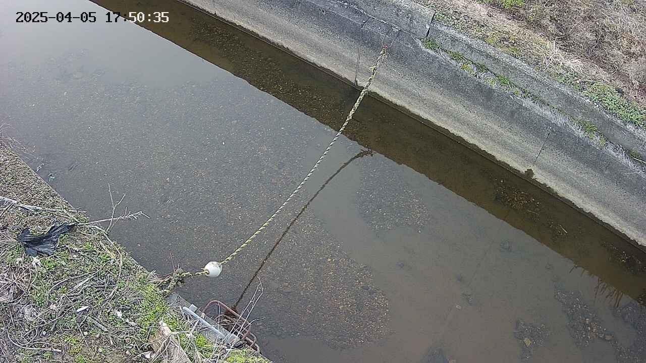 area10-20250405175037.jpg