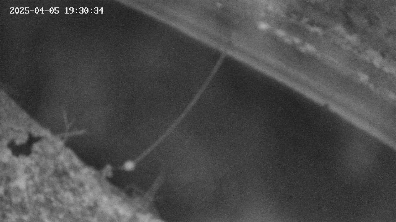 area10-20250405193035.jpg