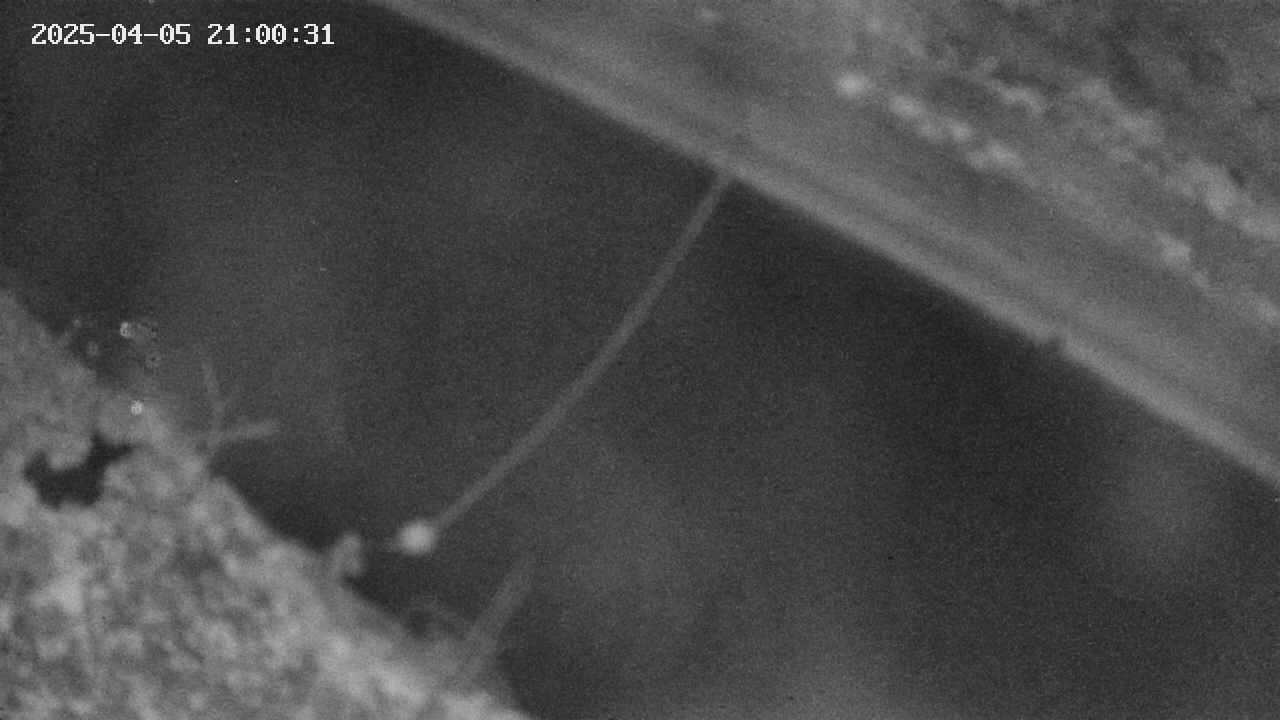 area10-20250405210033.jpg