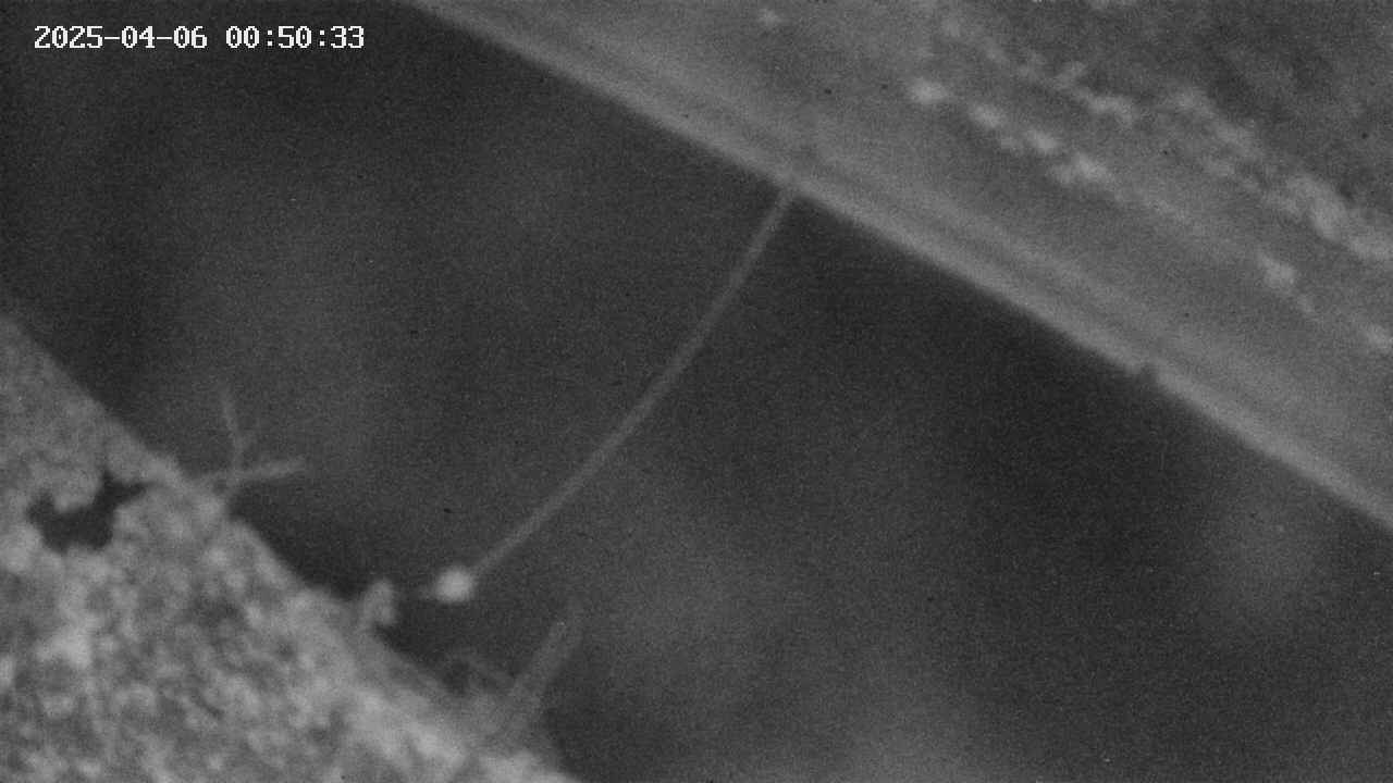 area10-20250406005034.jpg