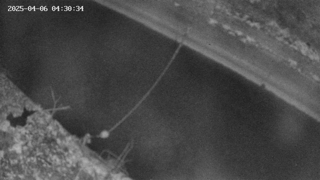 area10-20250406043035.jpg