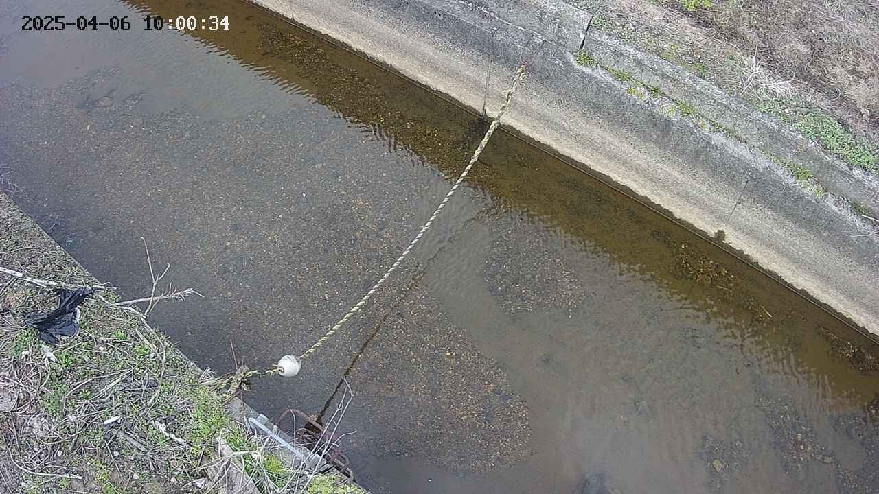 area10-20250406100035.jpg