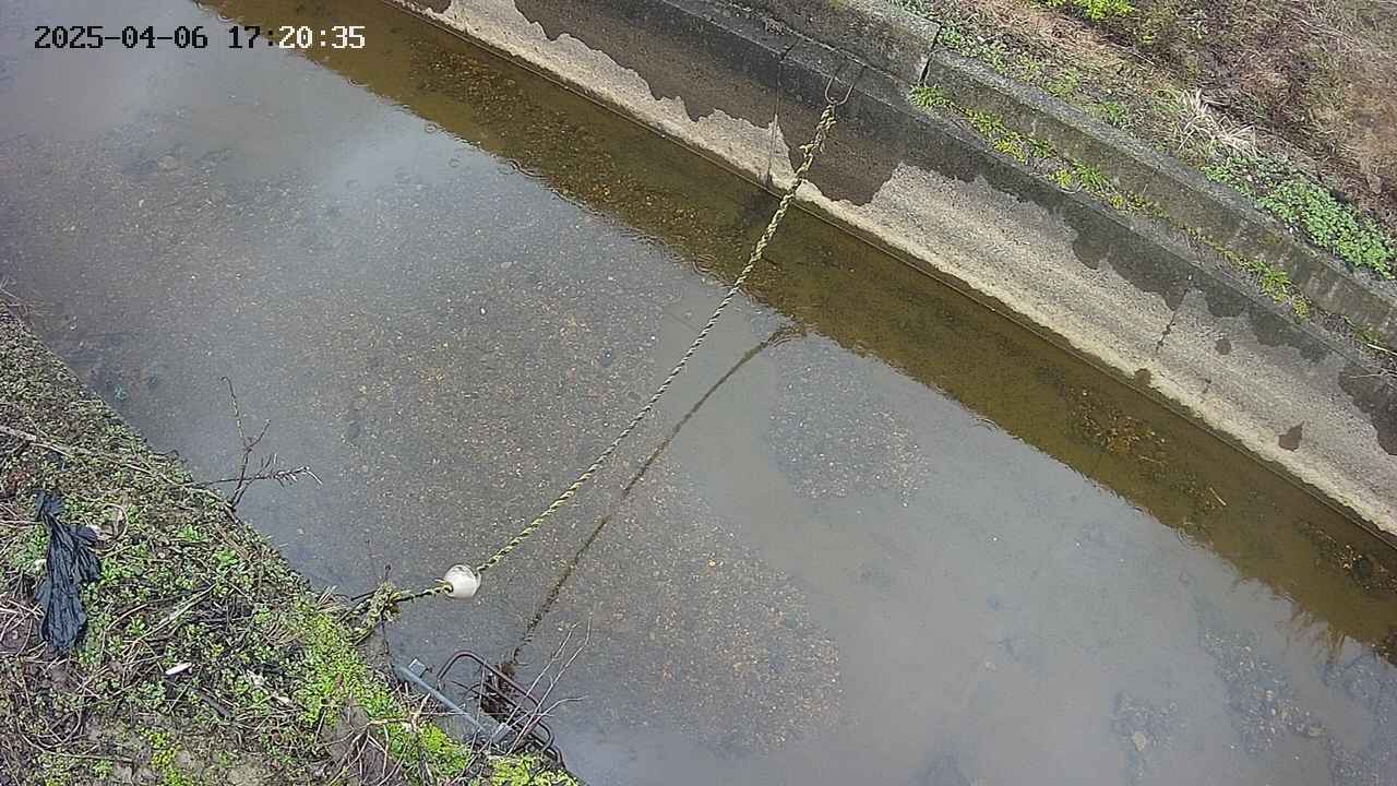 area10-20250406172037.jpg