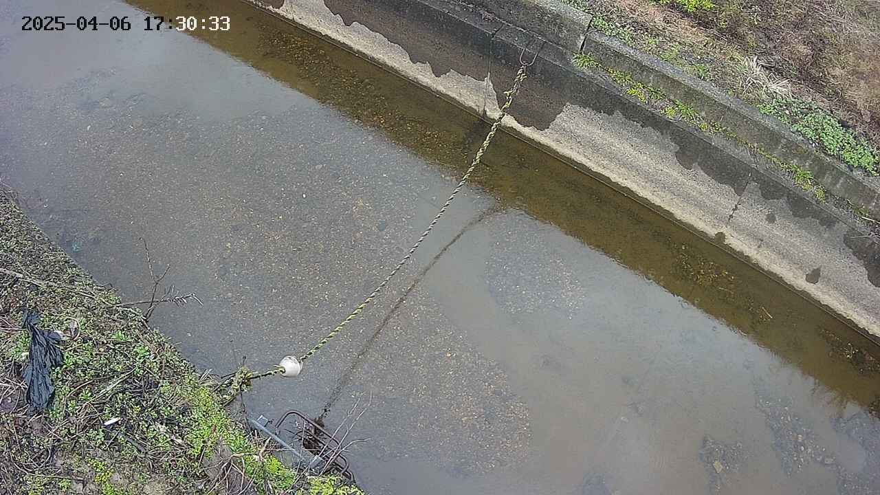 area10-20250406173035.jpg