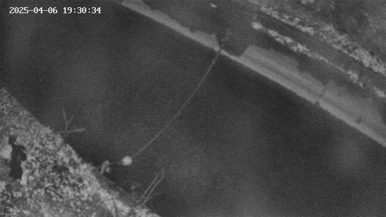 area10-20250406193035.jpg