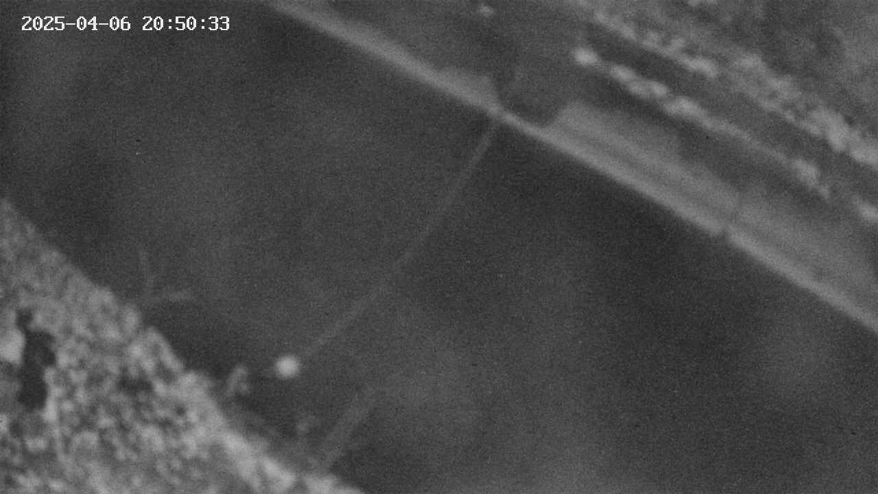 area10-20250406205034.jpg