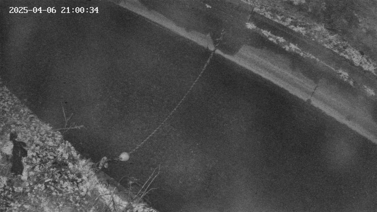 area10-20250406210035.jpg
