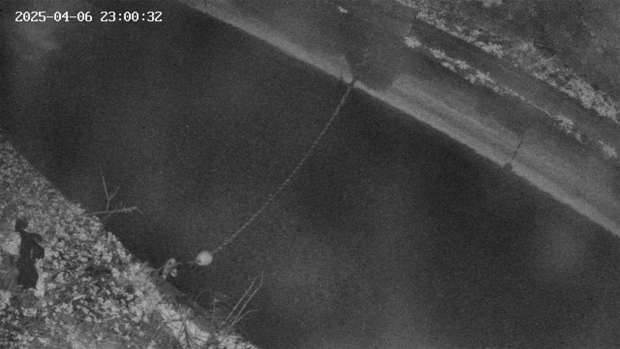 area10-20250406230033.jpg