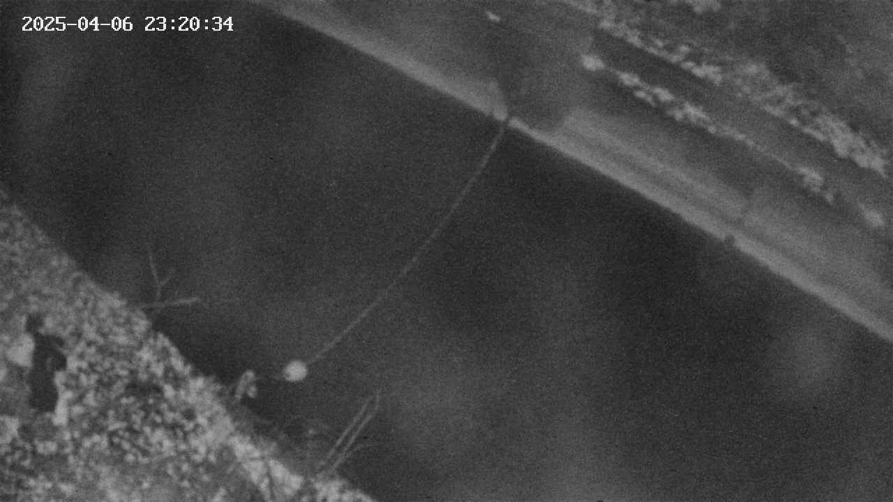 area10-20250406232035.jpg
