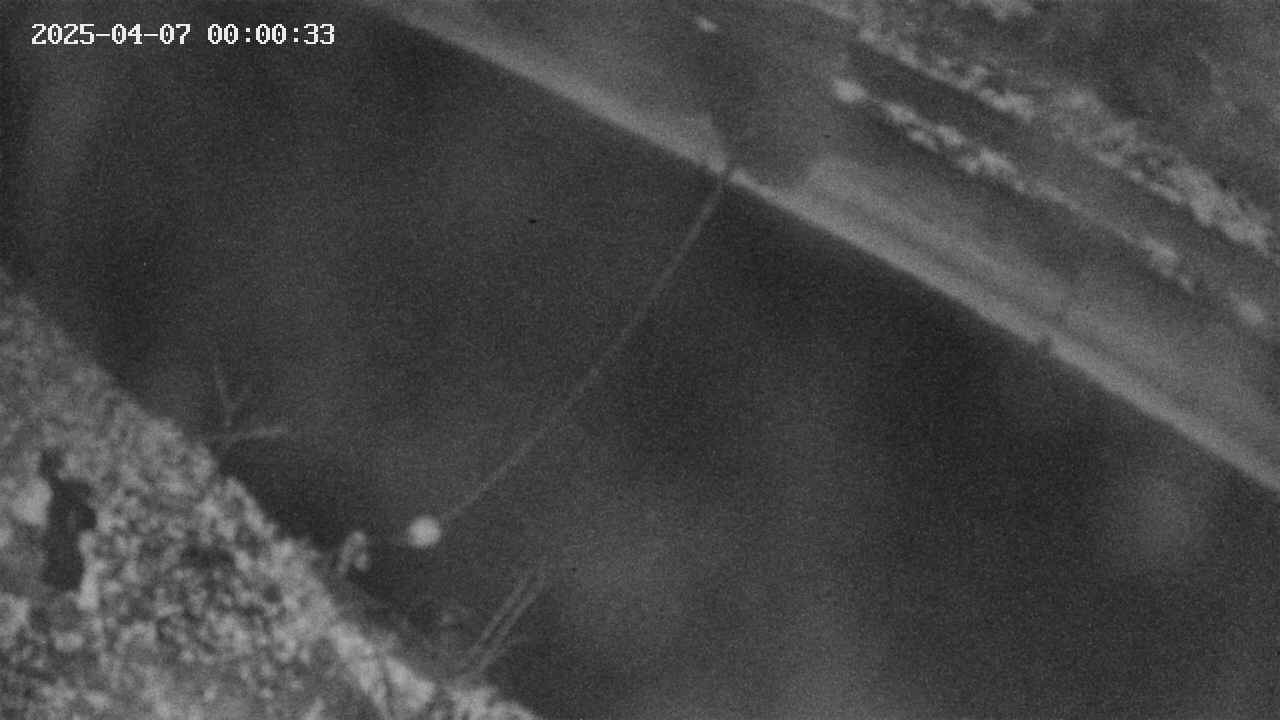 area10-20250407000035.jpg