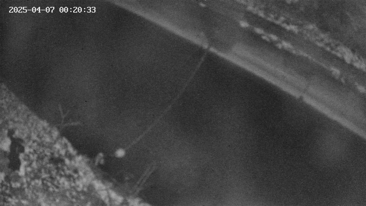 area10-20250407002034.jpg