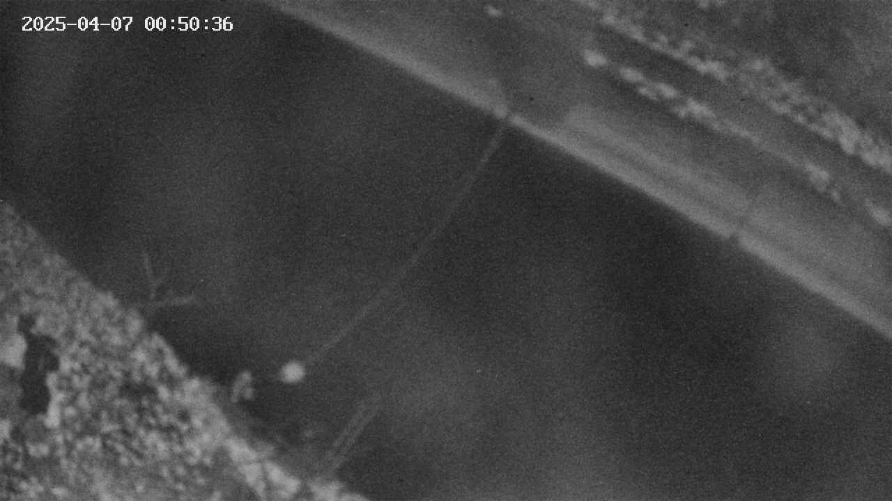 area10-20250407005038.jpg