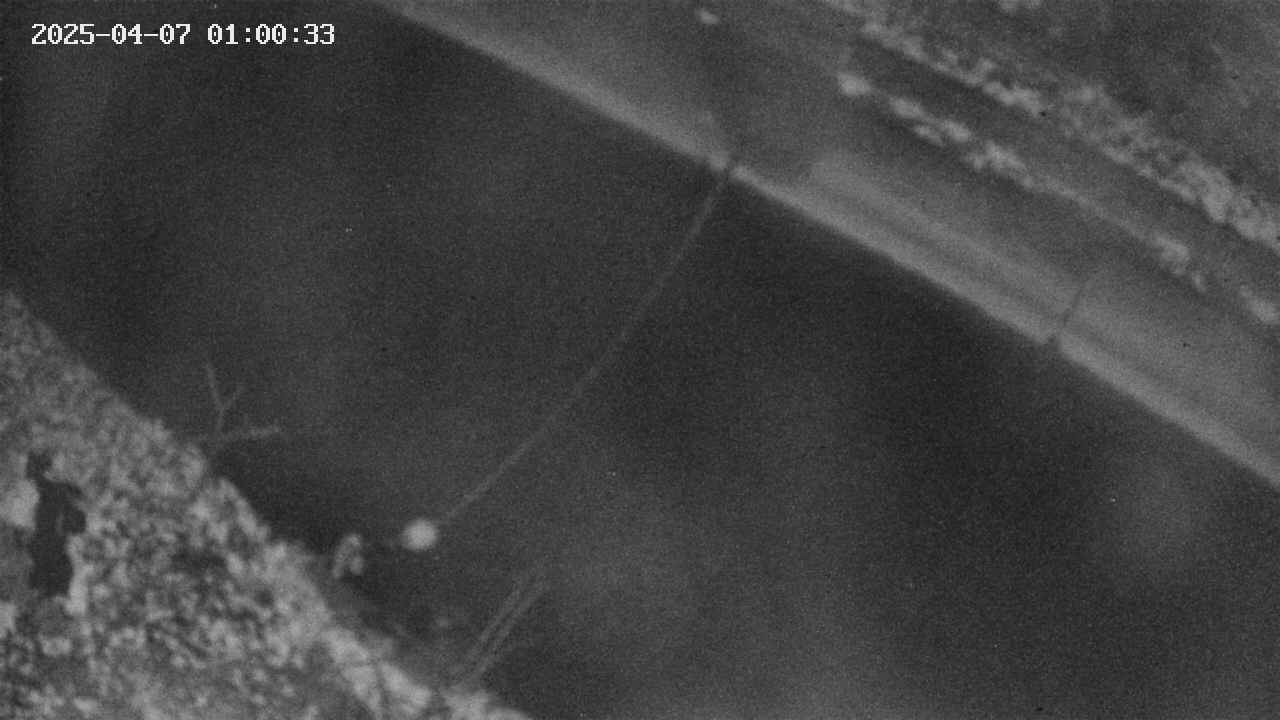 area10-20250407010034.jpg