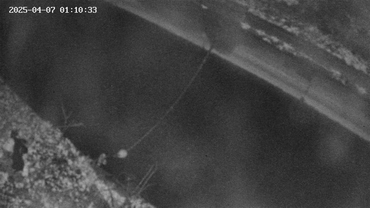 area10-20250407011034.jpg