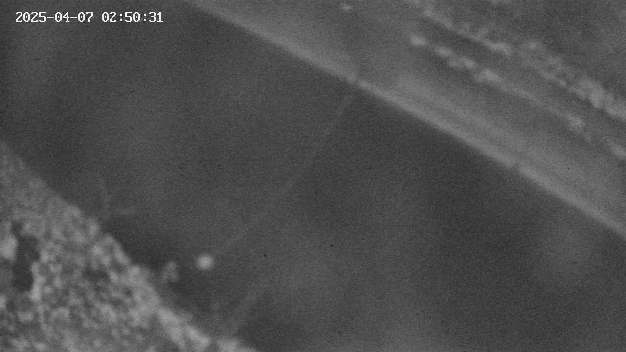 area10-20250407025033.jpg