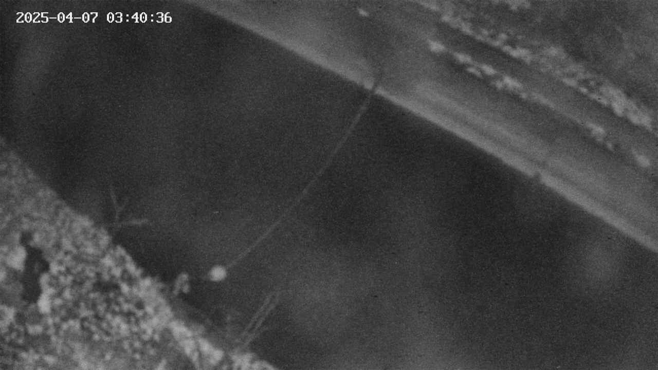 area10-20250407034037.jpg