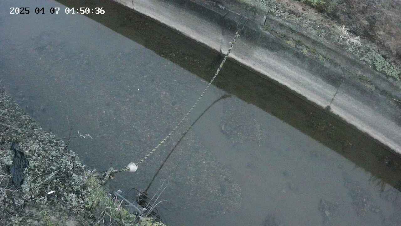area10-20250407045036.jpg