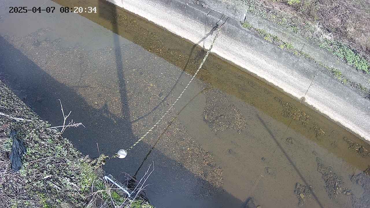 area10-20250407082035.jpg