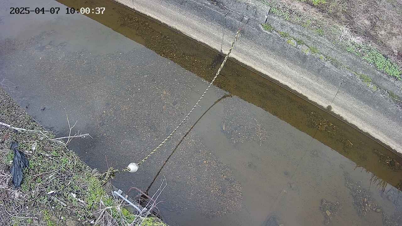 area10-20250407100038.jpg