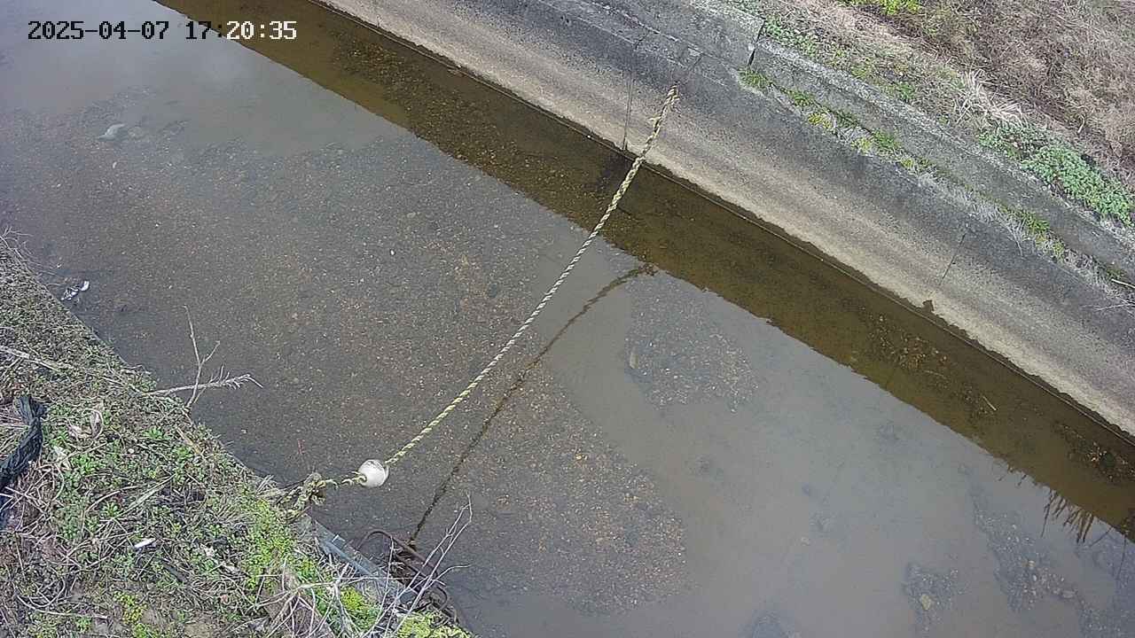 area10-20250407172036.jpg