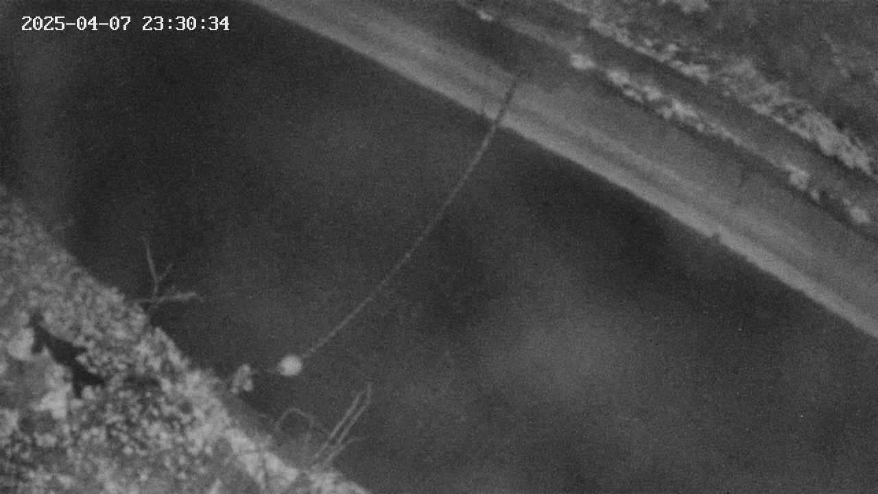 area10-20250407233035.jpg