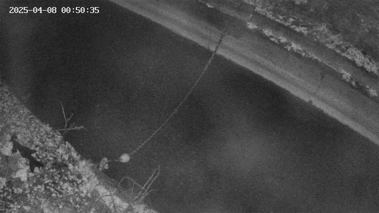 area10-20250408005036.jpg