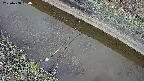 area10-20250408084036.jpg